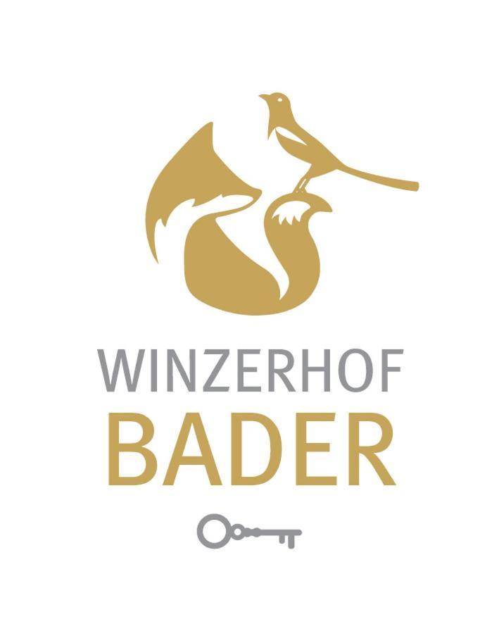 Gaestehaus Winzerhof Bader Heuchelheim-Klingen Exterior foto